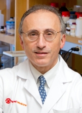 Dr. Shahin Rafii