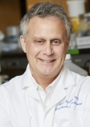 Dr. Peter Goldstein
