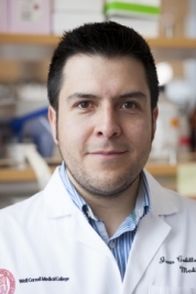 Dr. Juan R. Cubillos-Ruiz
