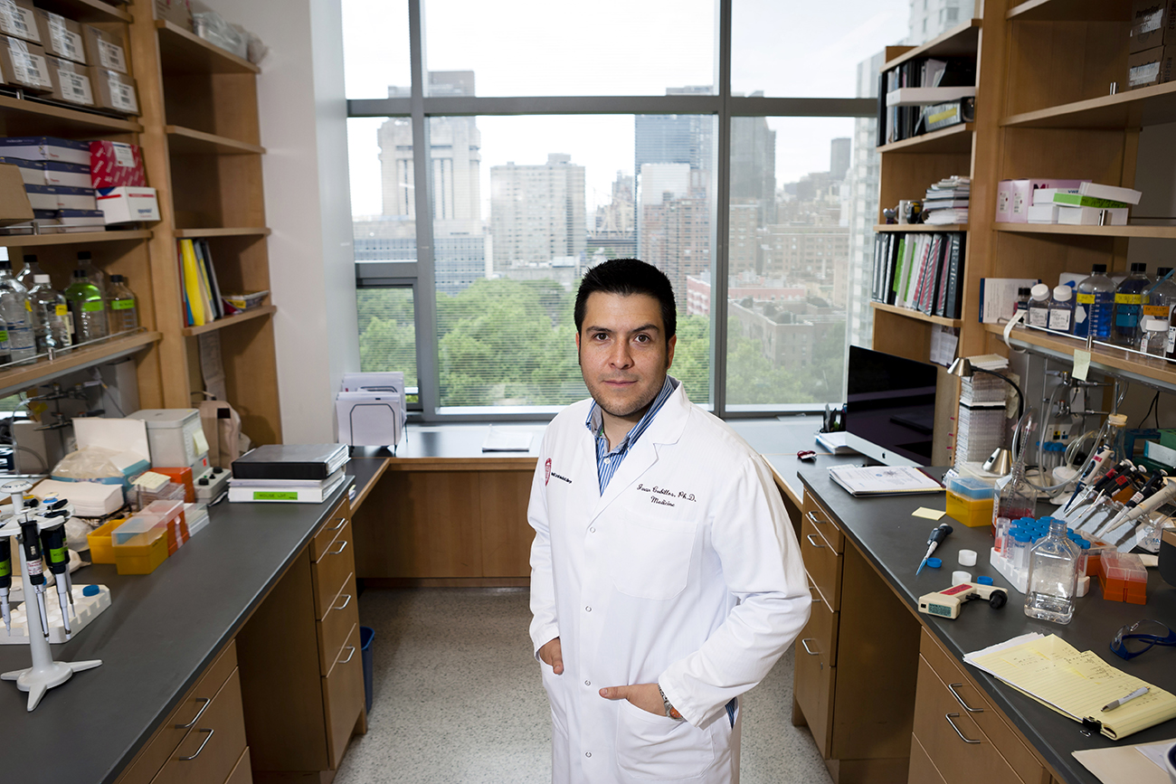 Weill Cornell Investigators Discover How Ovarian Cancer Halts Bodys