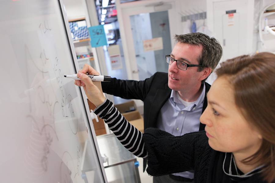 In the lab: Dr. David Artis with postdoc Dr. Anne-Laure Flamar