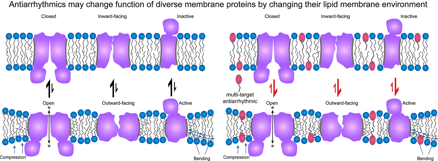 Membrane proteins