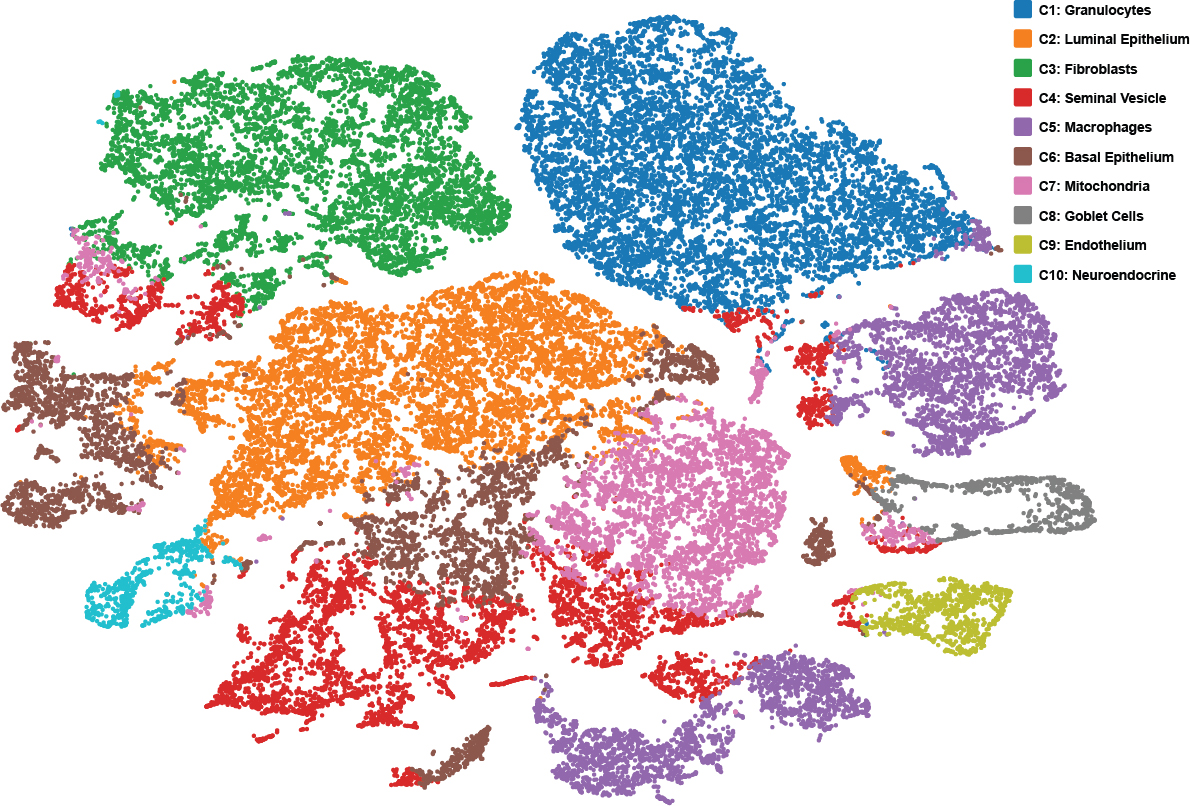 research-suggests-how-tumors-evolve-to-become-aggressive-form-of