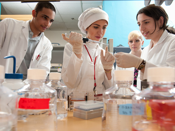 Qatari Teen Essay Winners Visit Weill Cornell Labs | Newsroom | Weill ...