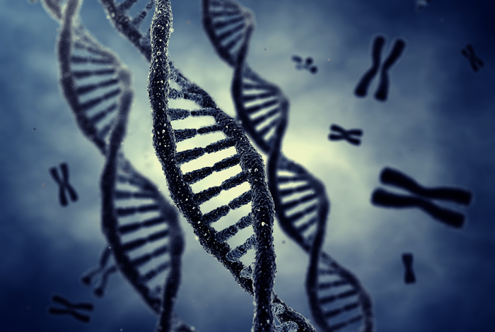 Qatar Project Highlights the Importance of Population-Specific Genetic ...