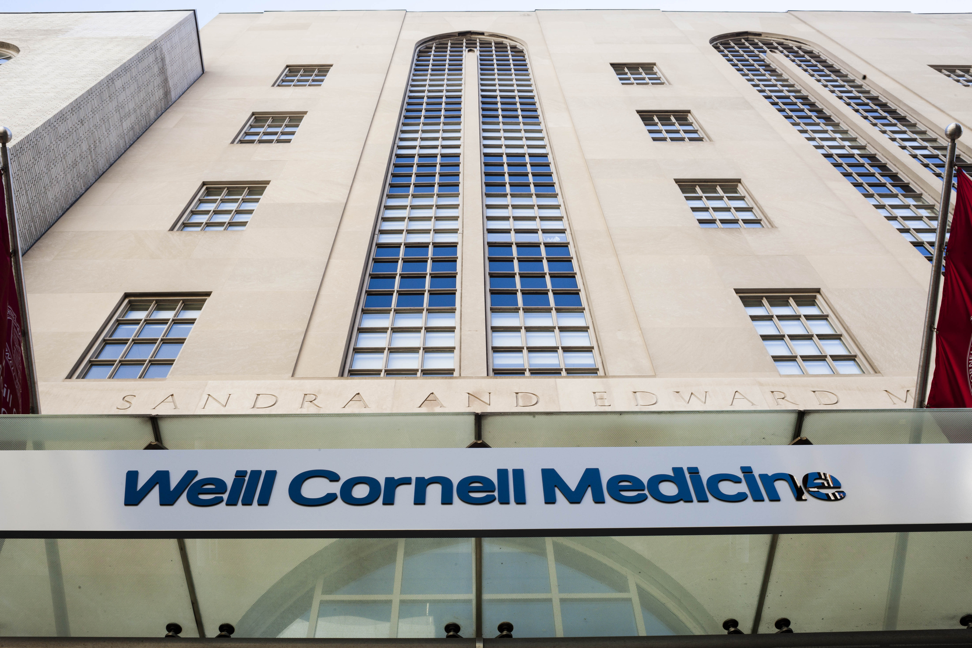 FirstYear Students Hunt for Library Treasure Newsroom Weill