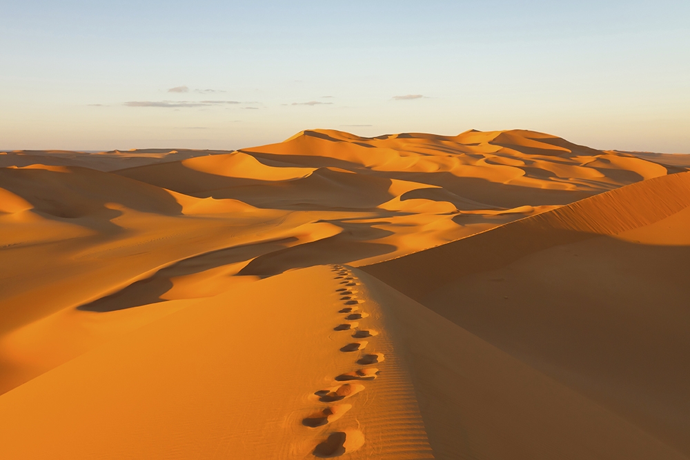 Footprints in the Sand Dunes; Murzuq Desert, Sahara, Libya