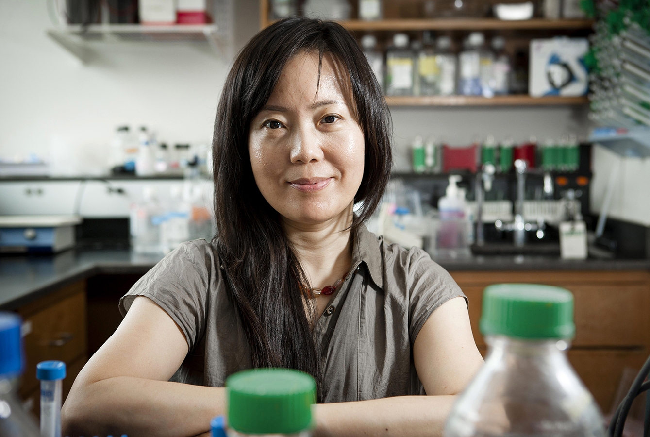 Dr. Wen Shen  Photo credit: Carlos Rene Perez