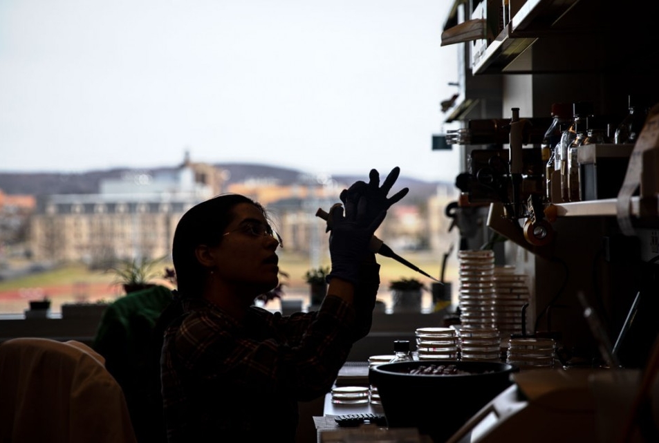 image of a person at a lab sitting in front of a window