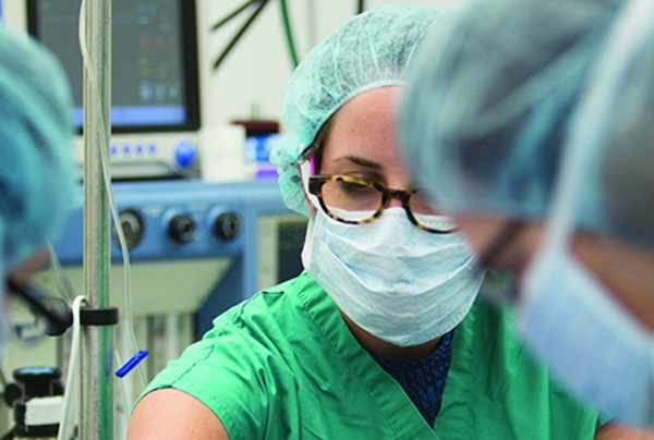 Dogged effort: Anesthesiologist Dr. Dorian Batt, with colleagues and a canine patient in the OR at the Cornell University Hospital for Animals.  Photo credit: Robert Barker/UP