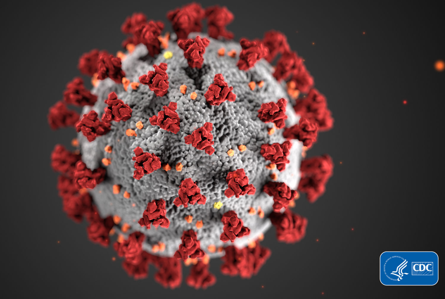 Digital illustration of the coronavirus.