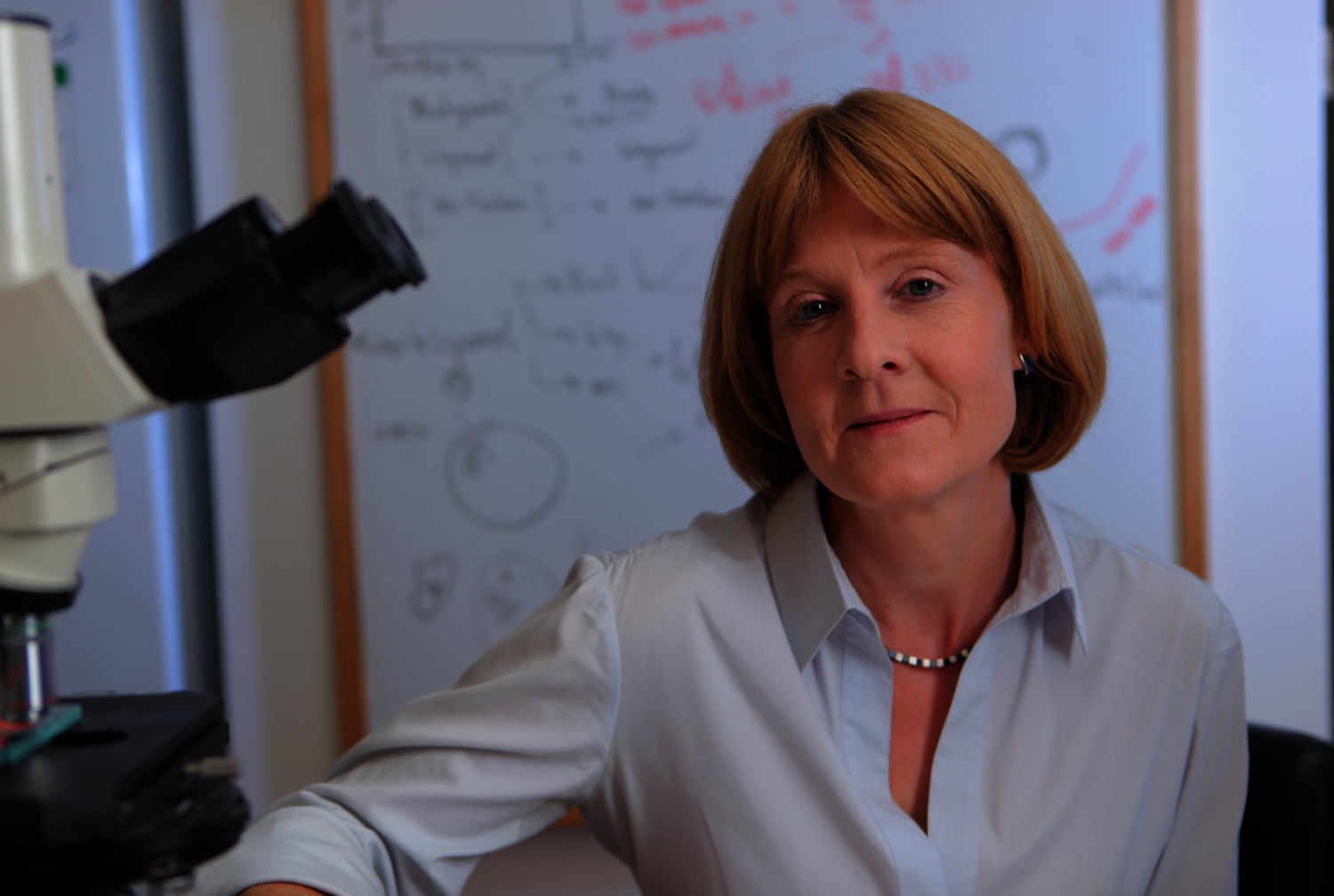 Dr. Sabine Ehrt
