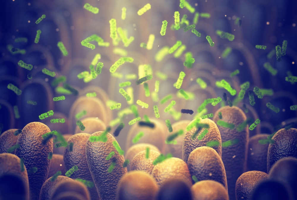 illustration of bacteria floating over intestinal villi