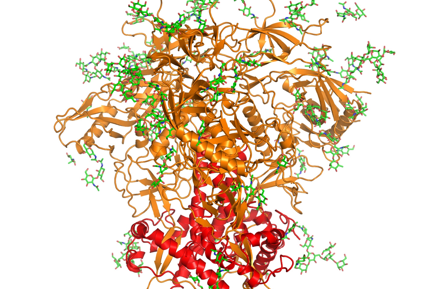 HIV’s fusion with host cells