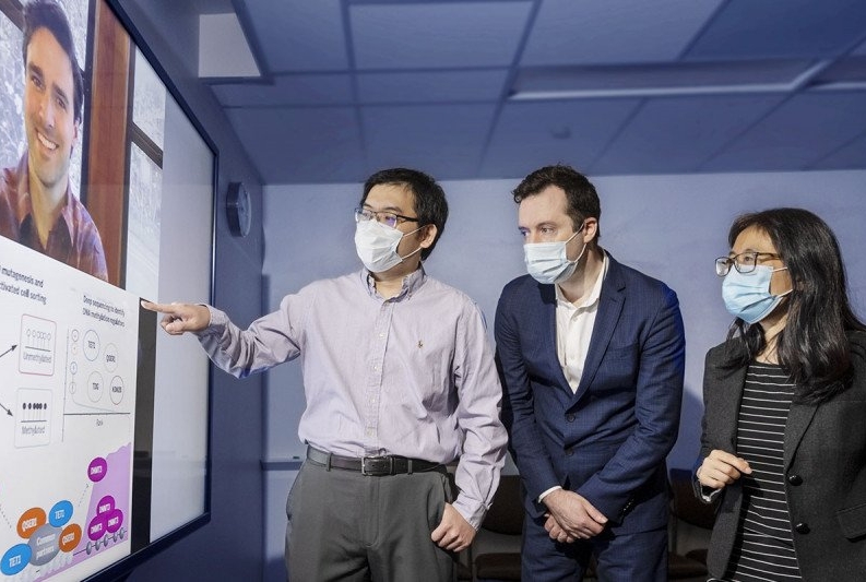 Researchers Gary Dixon (on Zoom), Heng Pan, Olivier Elemento, and Danwei Huangfu collaborated on research related to DNA methylation and gene regulation. 