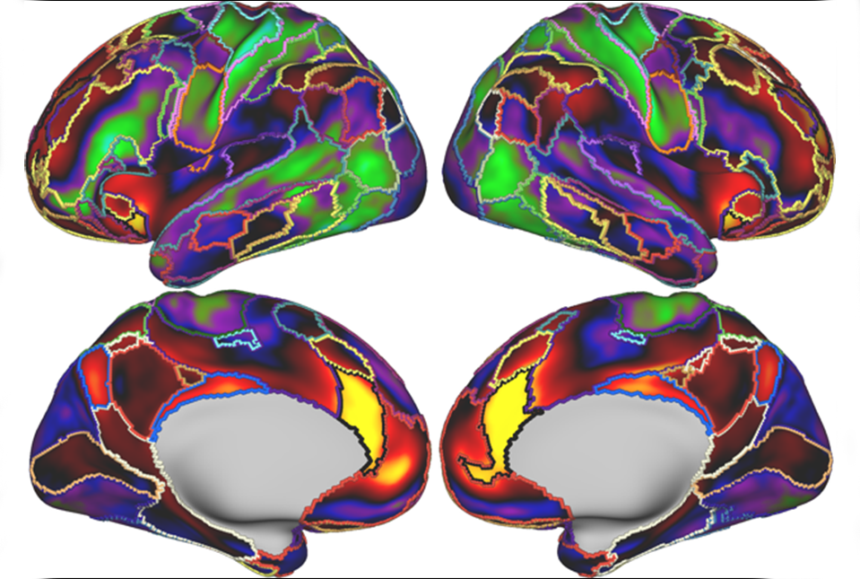 Liston Salience Network