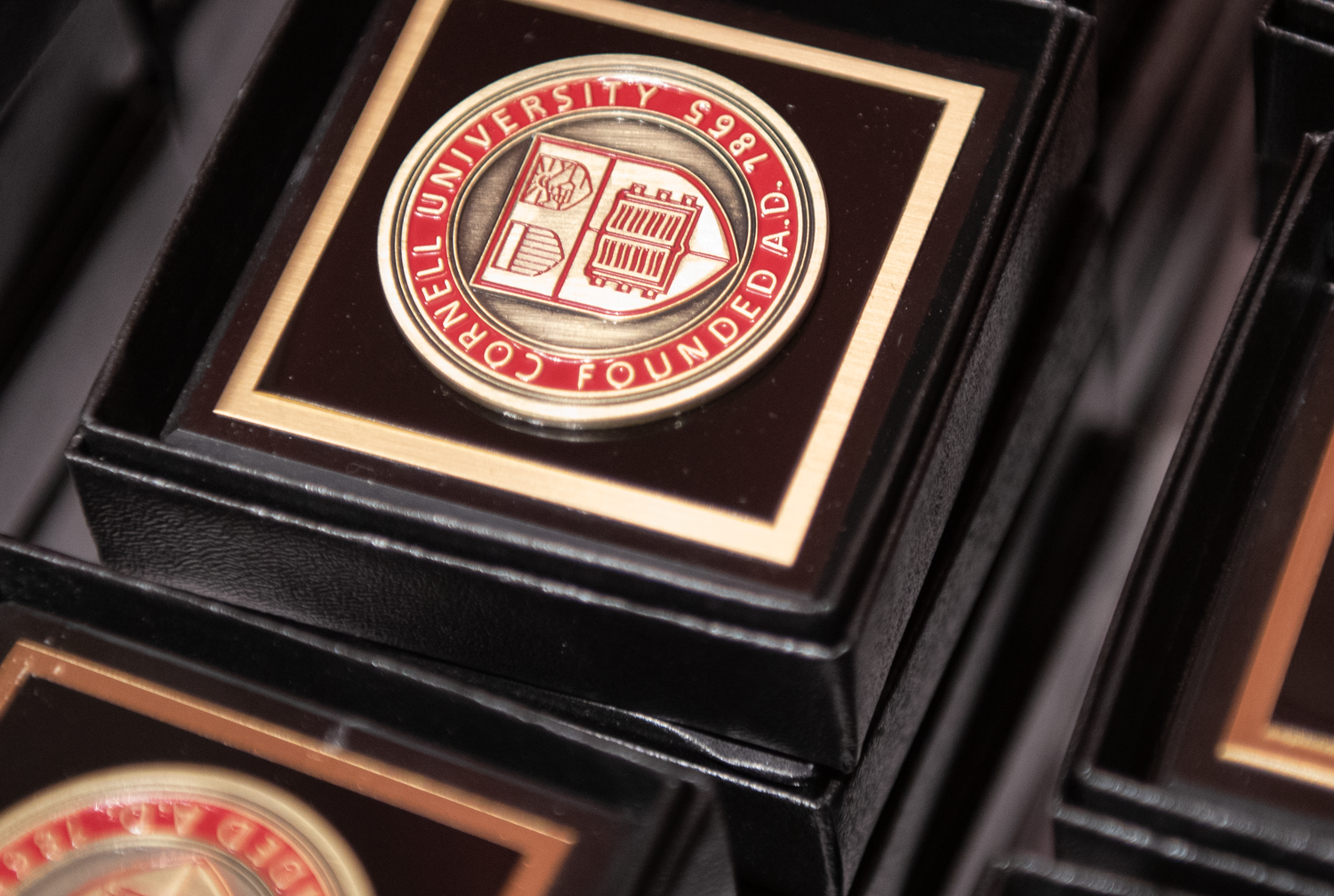 Convocation 2005: Medals