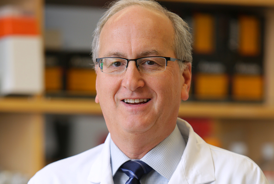 Dr. David Nanus