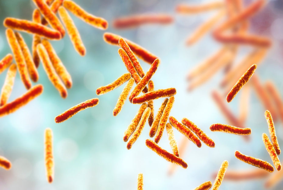 illustration of microscopic tuberculosis bacteria