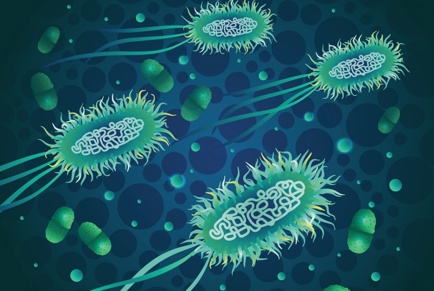 Abundance Of Infectious Bacteria In The Gut May Predict Risk Of Urinary Tract Infection Newsroom Weill Cornell Medicine