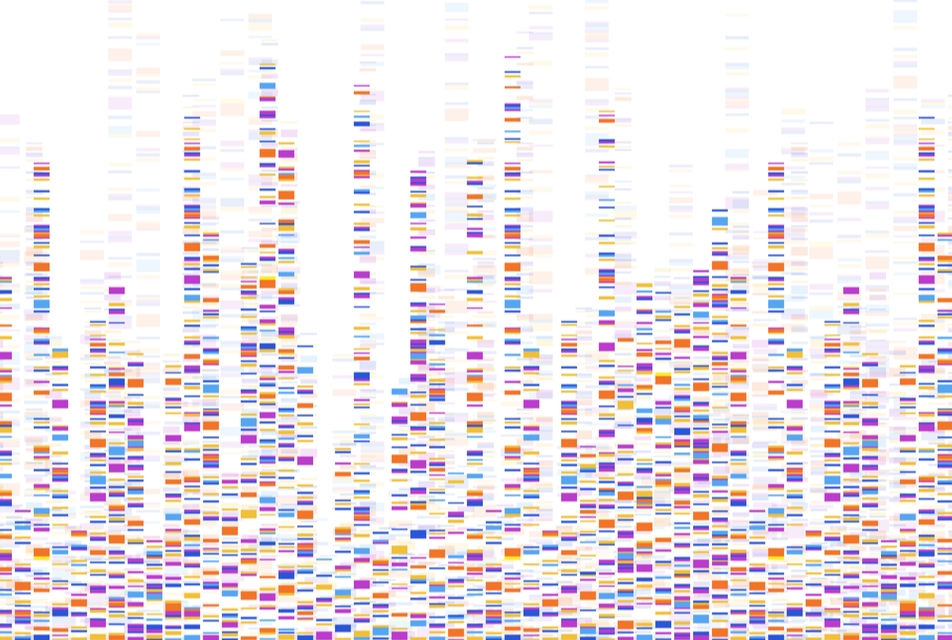 Genome map