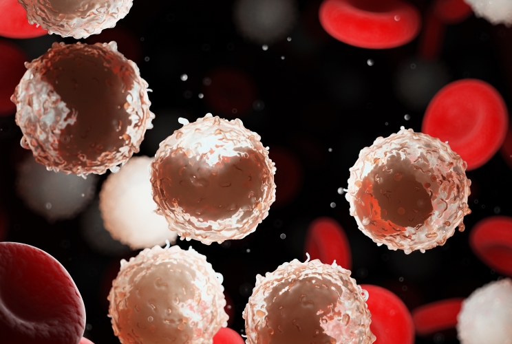 3d rendered illustration of excess white blood cells
