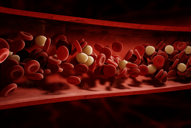 Blood cells flowing through vessel