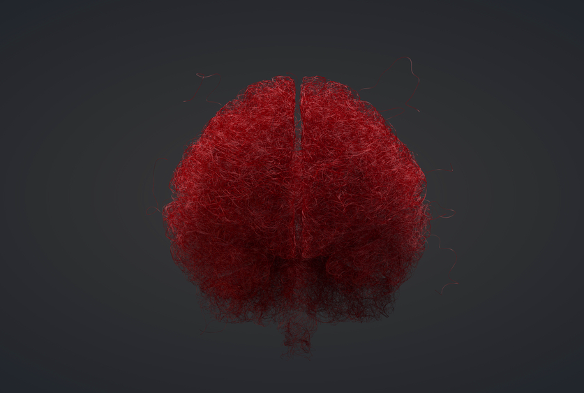 Blood vessels of a human brain - artist conception.