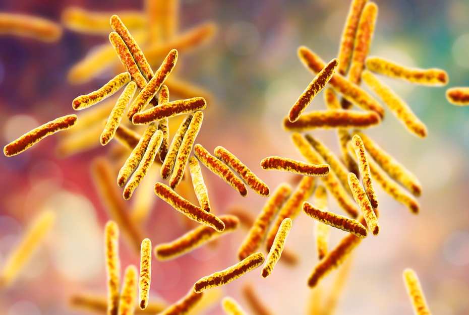 Bacteria Mycobacterium tuberculosis, the causative agent of tuberculosis, 3D illustration - Illustration