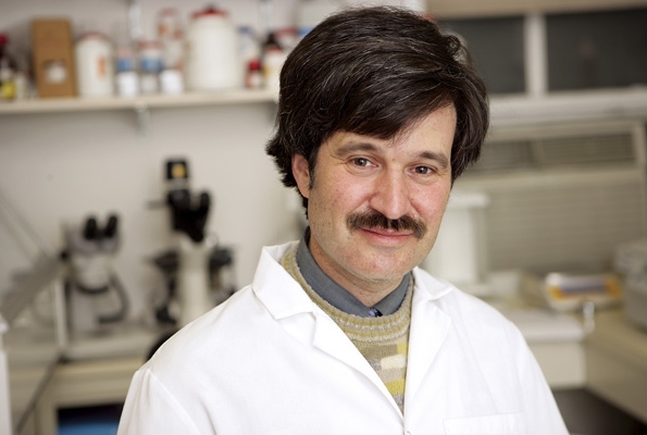 Dr. Andrew Talal