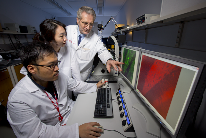 Weill Cornell Medicine’s research enterprise has expanded in recent years. Credit: John Abbott.