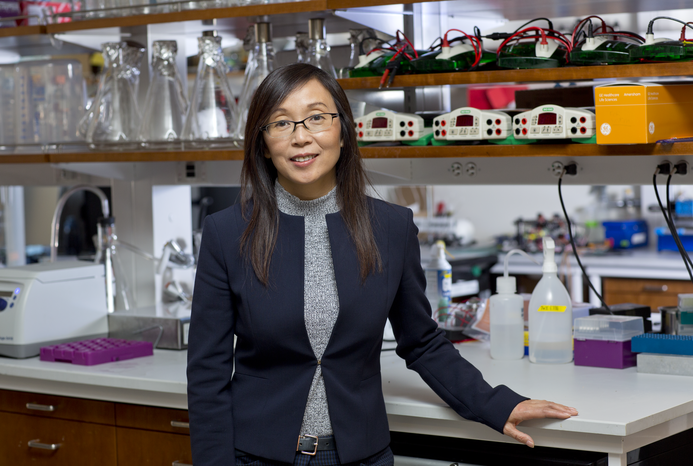 Dr. Li Gan in her lab