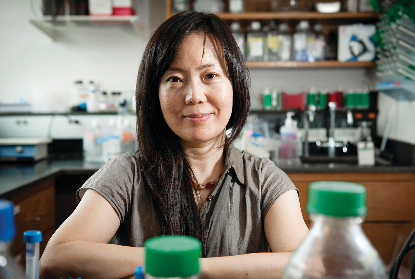 Dr. Wen Shen