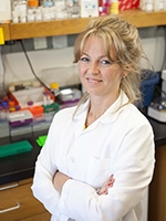 Dr. Dilek Colak Dr. Dilek Colak