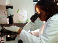Local high school students conduct lab-based summer research