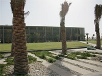 Clinical care and research in Qatar