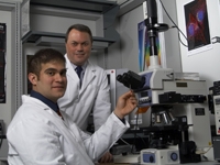 Dr. David Lyden oversees the research work of Imran Farooq on platelet subtypes. During his Summer of Discovery research experience, Farooq is defining the role of hematopoietic progenitor cells