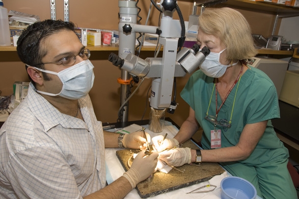 Alice Harper and Sunil Singh demonstrate the lab's equipment: the Department of Surgery