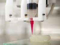 A 3D printer creates the mold for a new bioengineered ear.