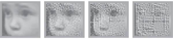 In sight: An image of a child's face seen in its original form (A), as it has been encoded by the new prostethic device (B), and how it is reconstructed from those signals and "seen" by the patient (C). D shows the same image reconstructed from the signal child's face seen in its original form (A), as it has been encoded by the new prostethic device (B), and how it is reconstructed from those signals and "seen" by the patient (C). D shows the same image reconstructed from the signal