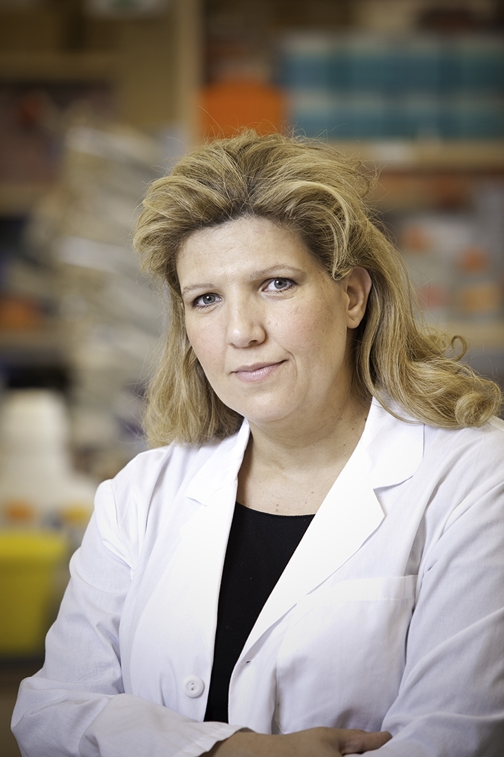Dr. Paraskevi Giannakakou