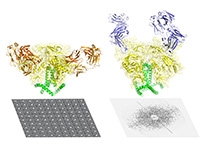 HIV envelope protein 