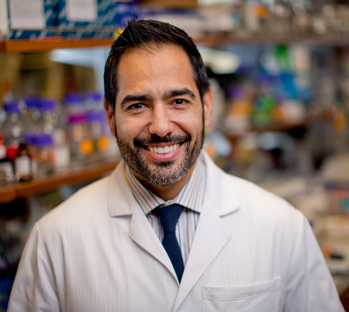 EXPLORING ‘PRECISION NUTRITION’: Dr. Marcus Goncalves in the lab. Photo credit: John Abbott