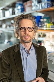 Dr. Dan Landau