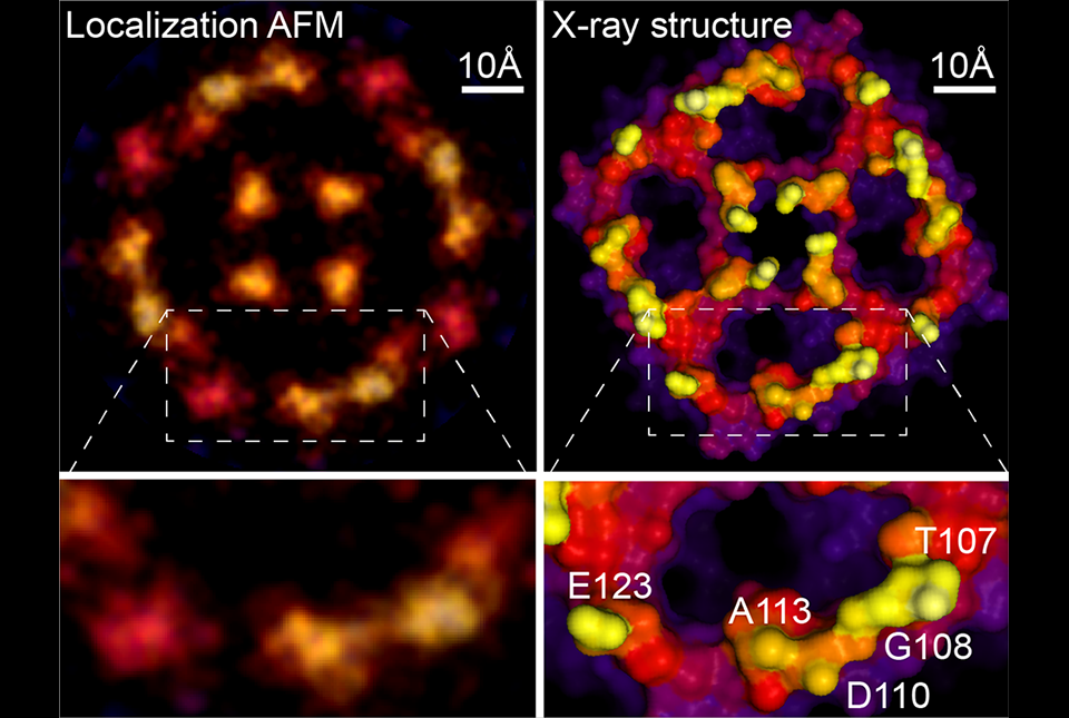 New Super-resolution Microscopy Method Approaches the Atomic Scale |  Newsroom | Weill Cornell Medicine