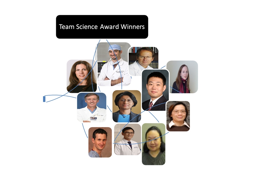 science team: Licia Gaber-Baylis and  Drs. Stavros G. Memtsoudis, Federico P Giradi, Melanie C. Besculides, Yan Ma, Alejandro Gonzalez Della Valle, Niegel E. Sharrock, Madhu Mazumdar