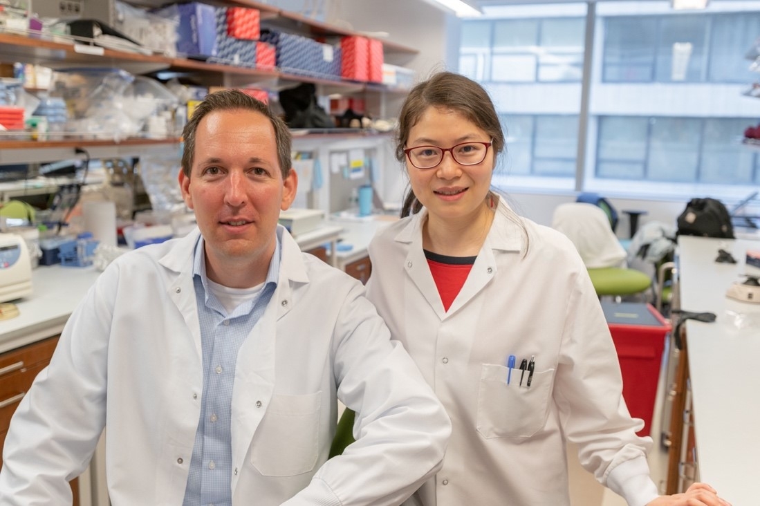 Scientists Establish a Key Molecular Protector of Intestine Well being | Newsroom