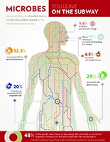 Infographic showing the relative amount of DNA found in the New York subway system form bacteria associated with the human body. Infographic of DNA in New York subway forming bacteria in human body