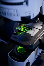 Tri-I TDI will expedite early- stage drug discovery into innovative treatments and therapies for patients. Tri-I TDI: early-stage drug discovery